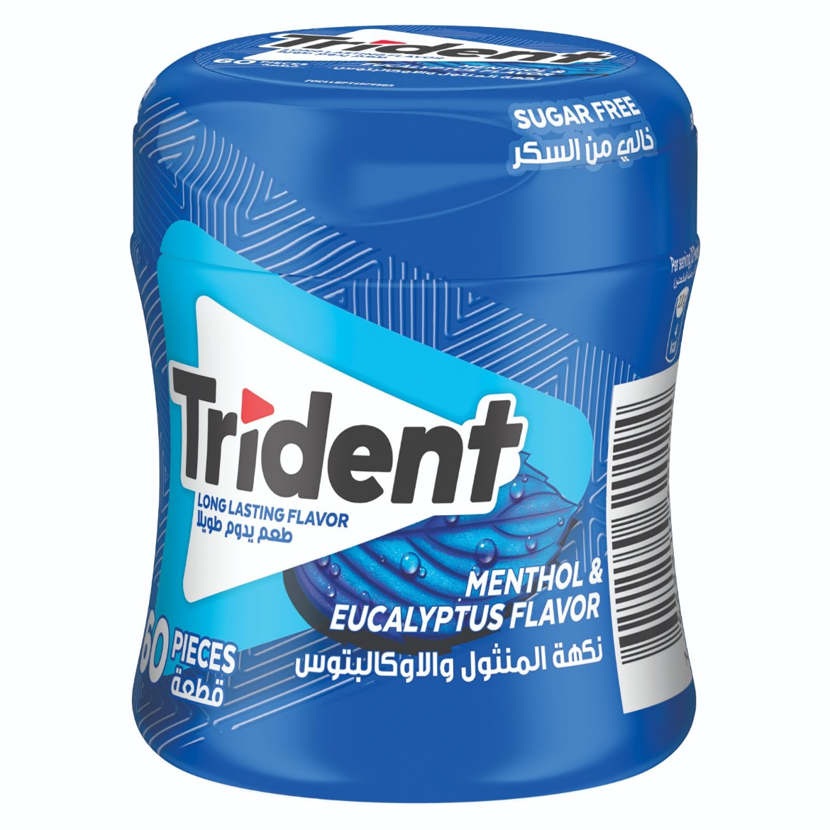 Picture of Trident Menthol Eucalyptus Flavored Chewing Gum, 60 Count