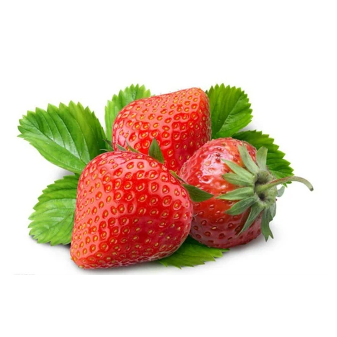 صورة فراوله استيفانا 1 كليو