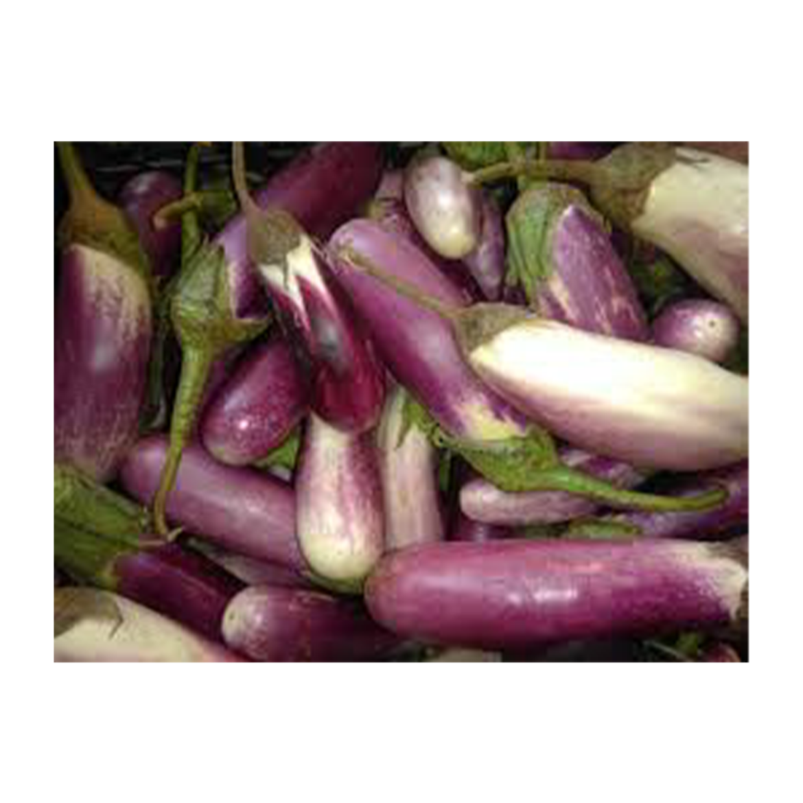 Picture of eggplant bride 500g