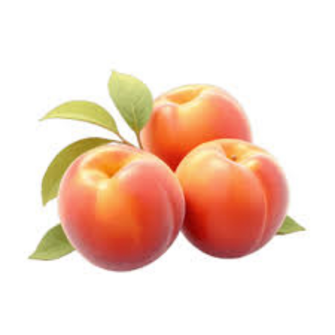 Picture of red apricot