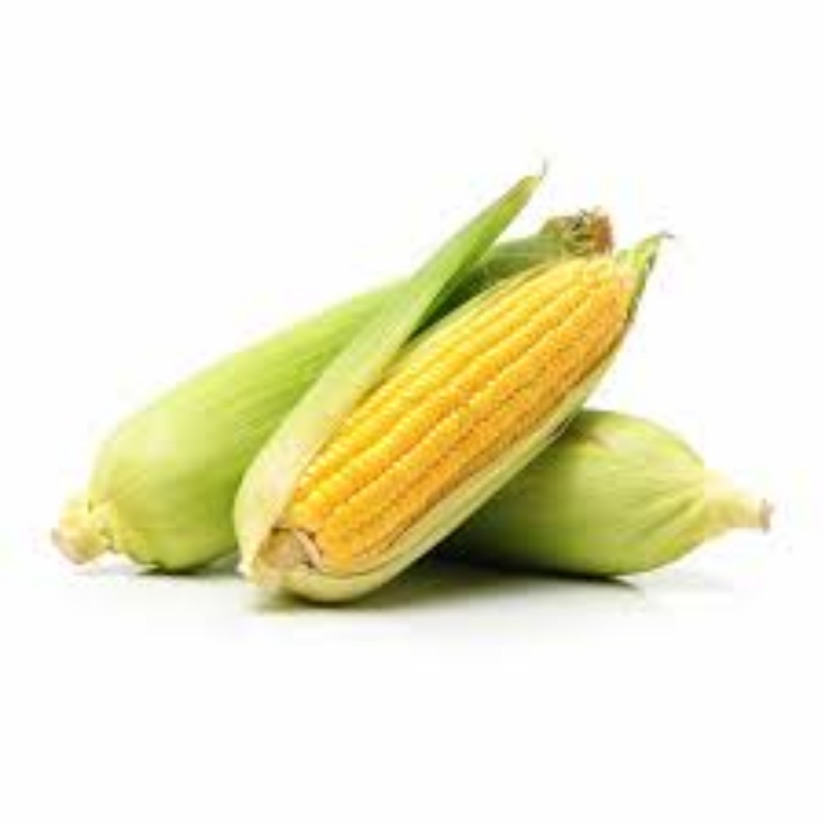 Picture of yellow corn